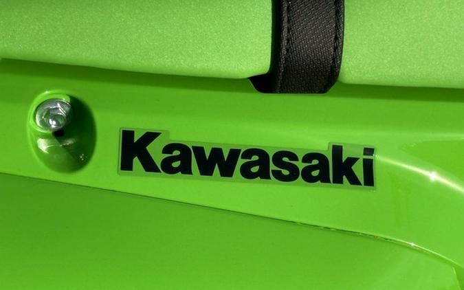 2027 Kawasaki KLX233BVFNN