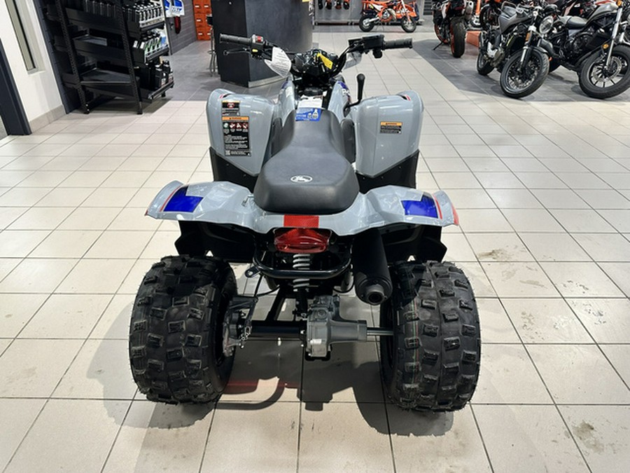 2026 Polaris Phoenix 200