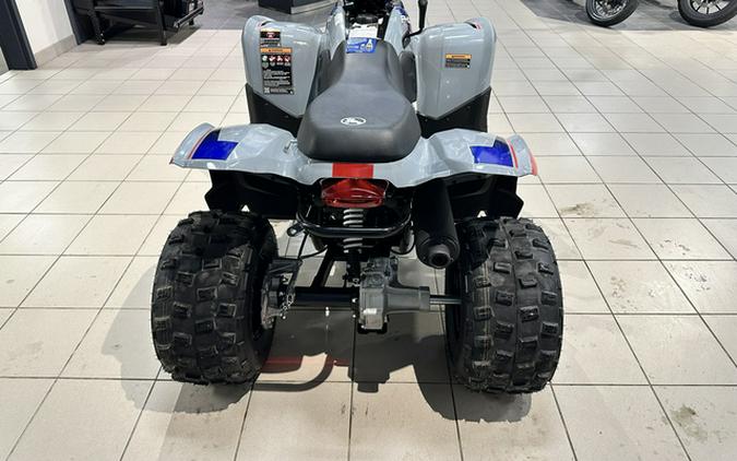 2026 Polaris Phoenix 200