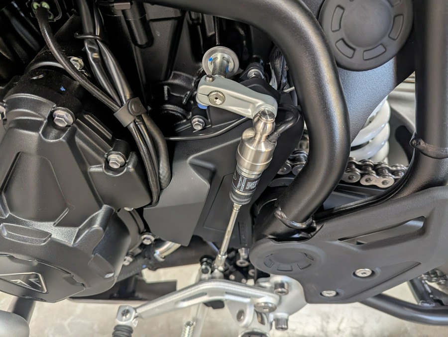 2026 Triumph Tiger 900 Rally Pro Desert Edition
