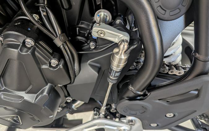 2026 Triumph Tiger 900 Desert Edition