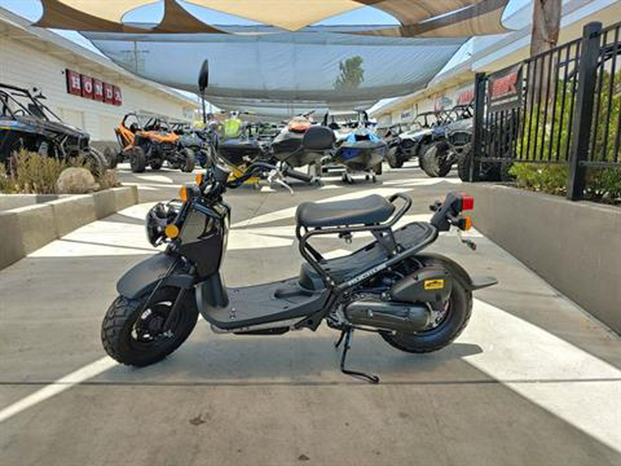 2024 Honda Ruckus