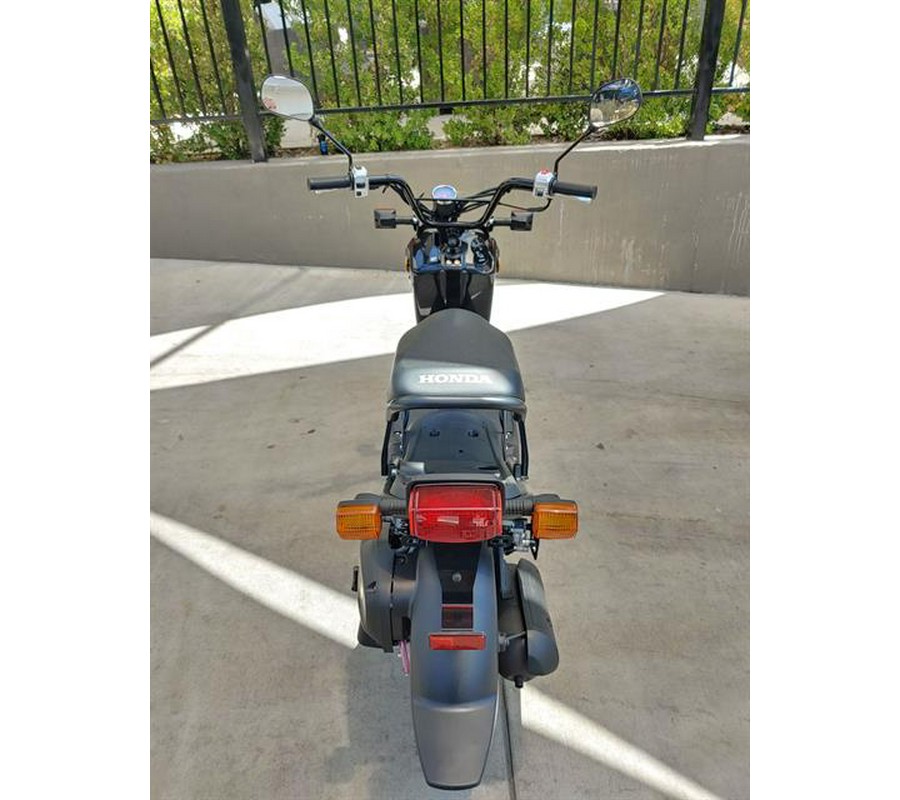 2024 Honda Ruckus