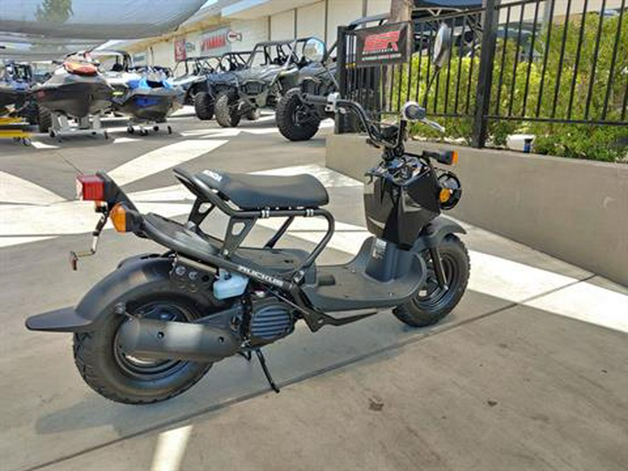 2024 Honda Ruckus