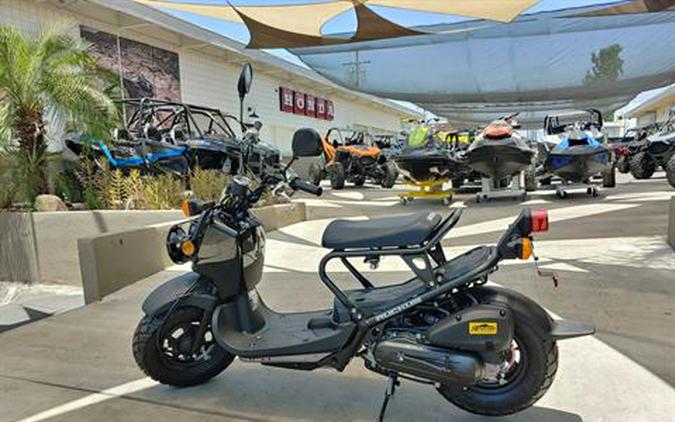 2024 Honda Ruckus