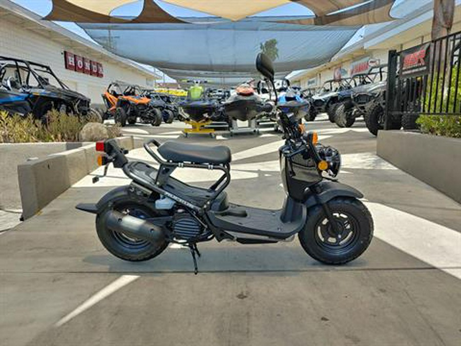 2024 Honda Ruckus