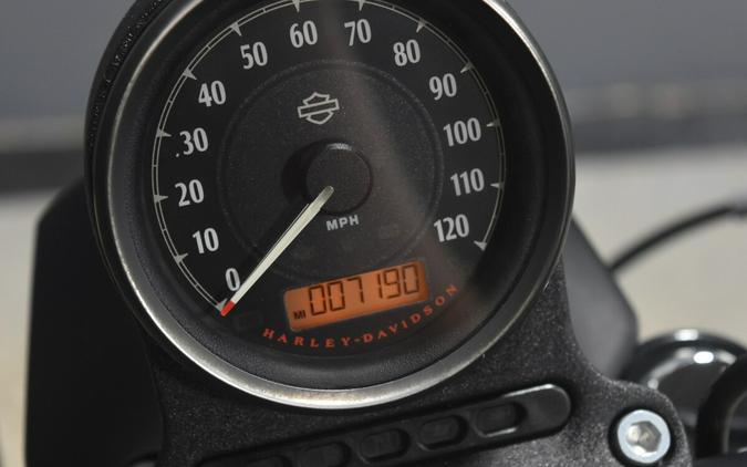 2021 Harley-Davidson Iron 883