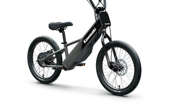 2025 Kawasaki Elektrode® 20FS