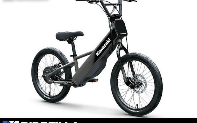 2025 Kawasaki Elektrode® 20FS