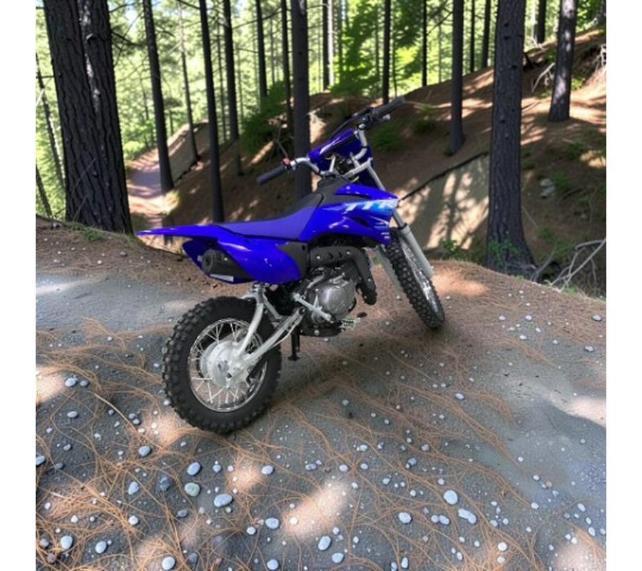 2027 Yamaha TT-R110E