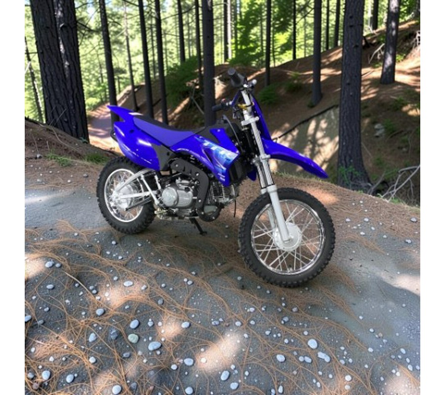 2027 Yamaha TT-R110E