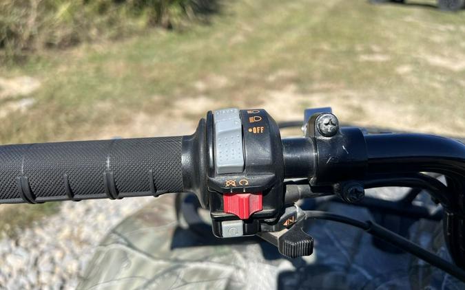 2010 Yamaha Grizzly 350 4x4 Realtree AP Camo