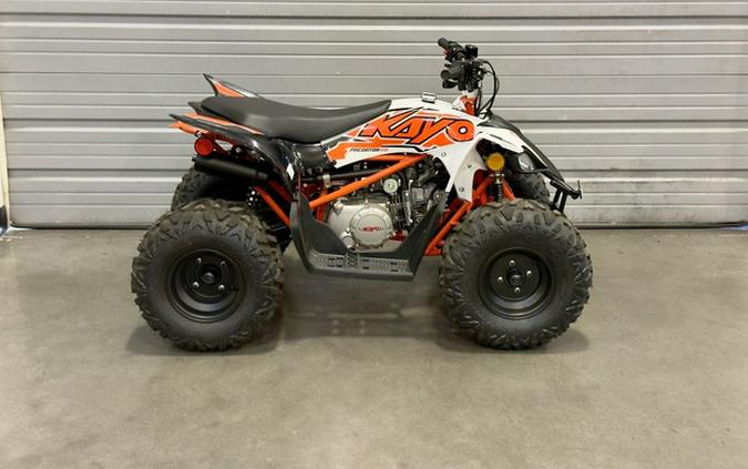 2025 Kayo 110 Predator