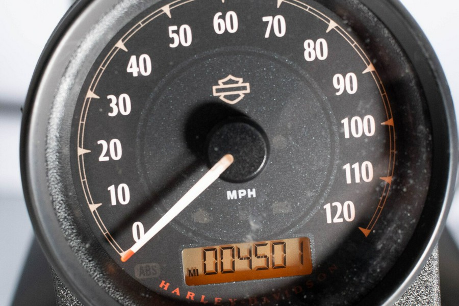 2019 Harley-Davidson Iron 883