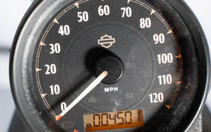 2019 Harley-Davidson Iron 883