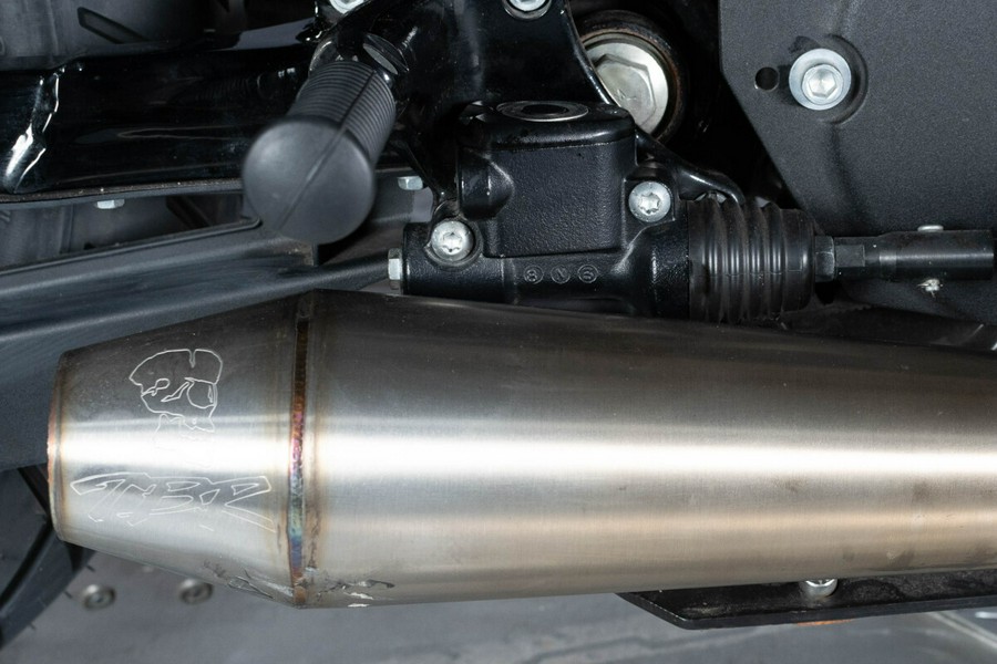 2019 Harley-Davidson Iron 883