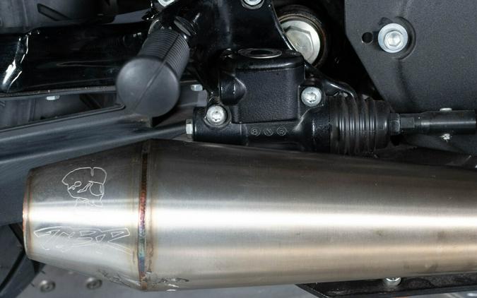 2019 Harley-Davidson Iron 883