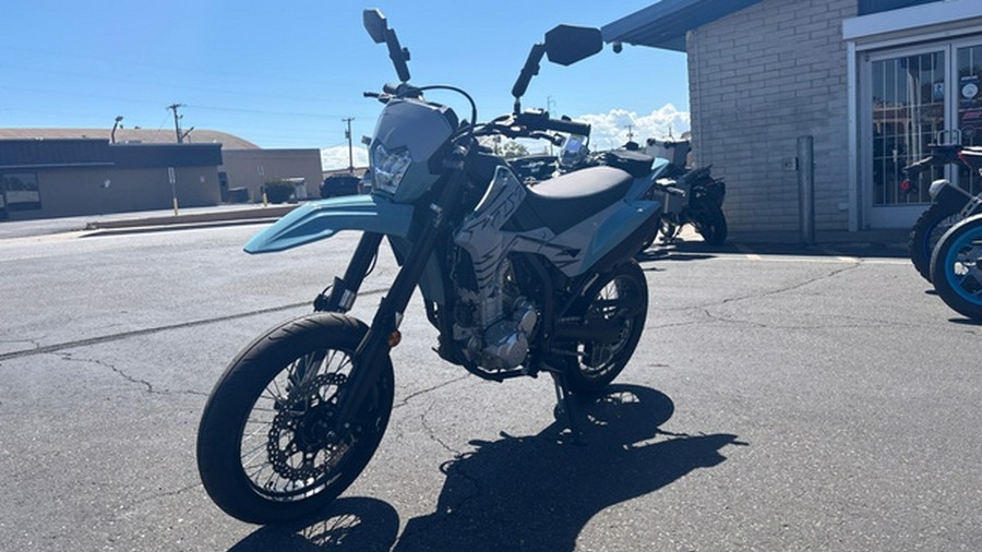 2024 Kawasaki KLX 300