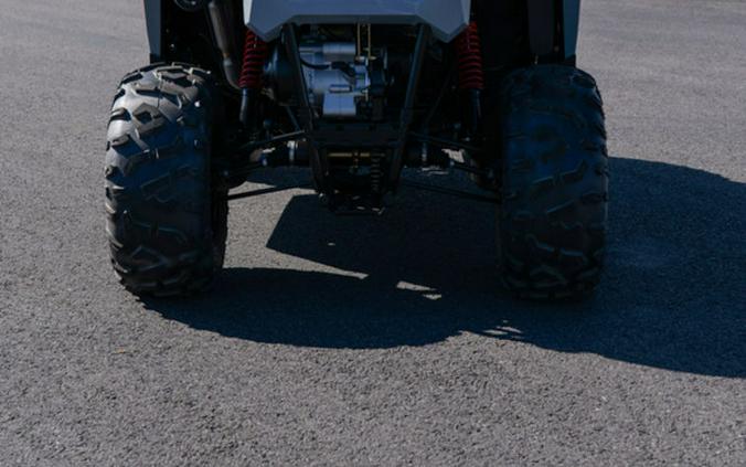 2024 Polaris RZR 200 EFI