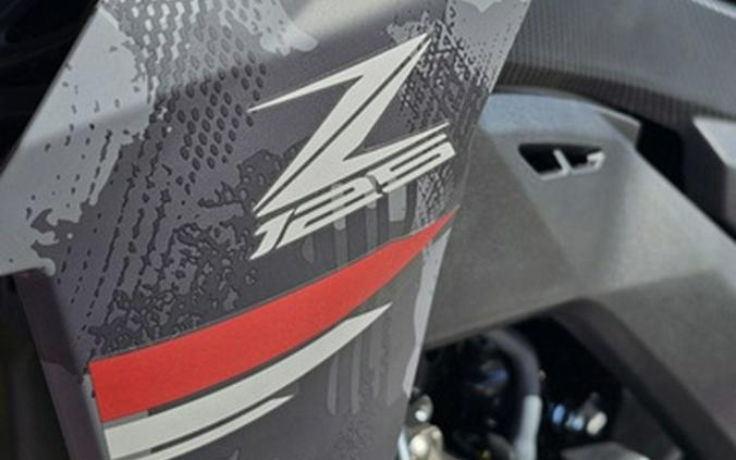 2024 Kawasaki Z125 PRO Cypher Camo Gray Matte/Metallic Matte Car