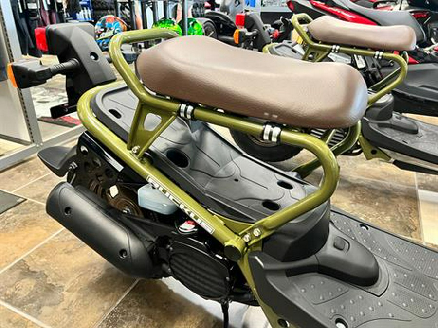 2024 Honda Ruckus