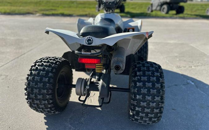 2024 Can-Am Renegade 110 EFI - Catalyst Gray and