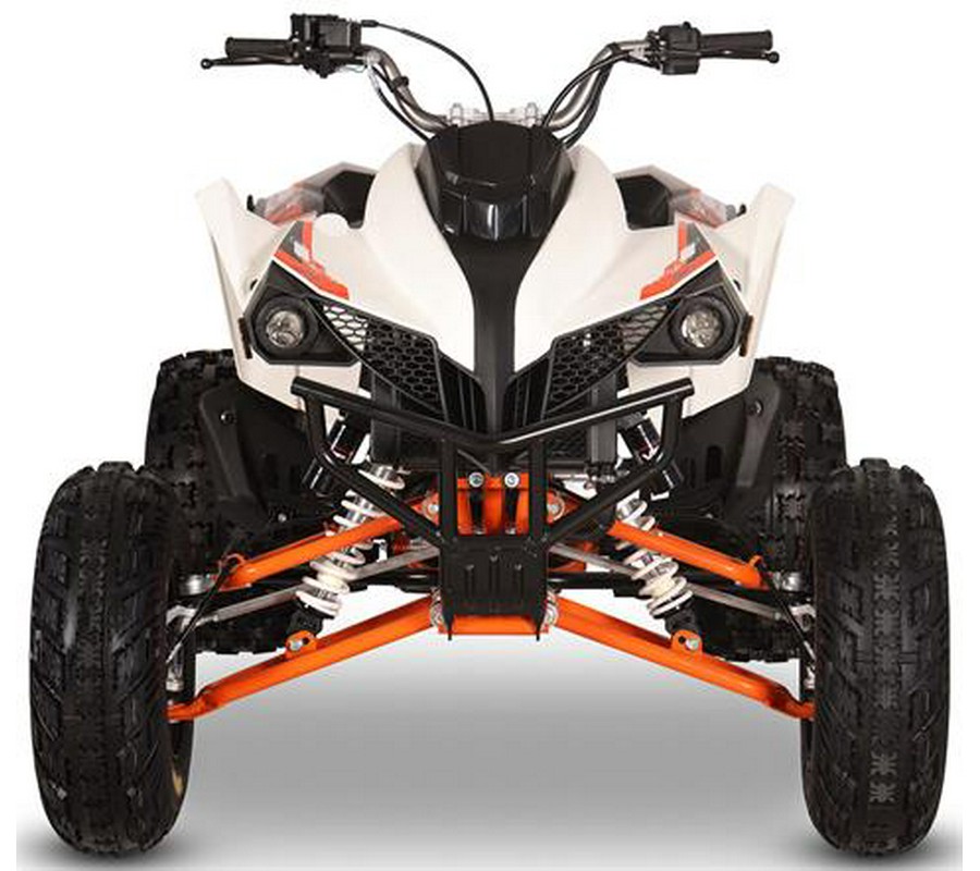 2026 Kayo Storm 300 EFI