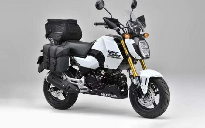 2025 Honda® Grom