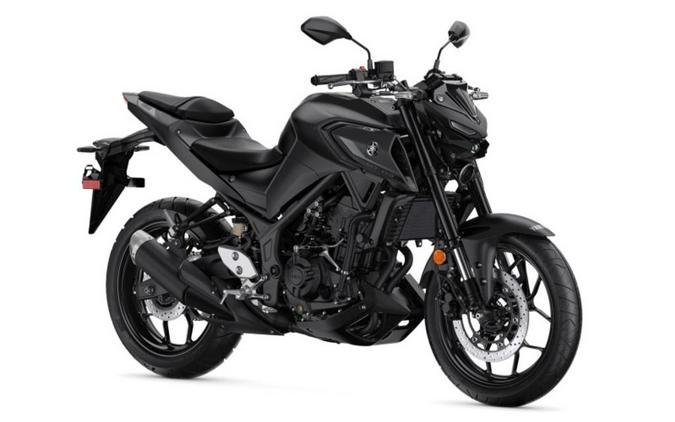 2024 Yamaha MT 03