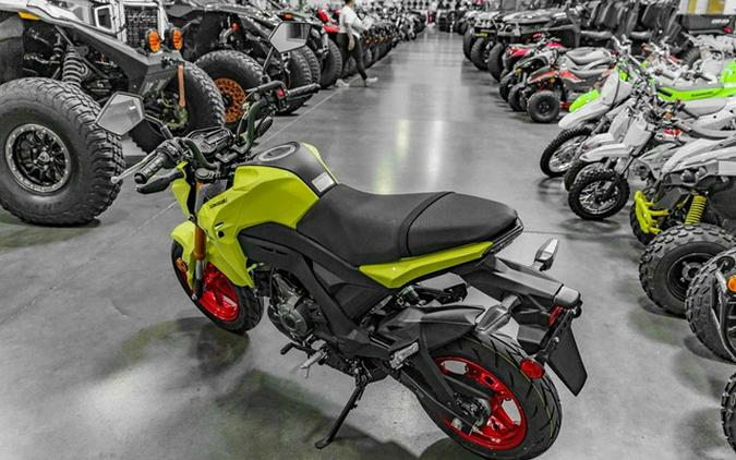 2026 Kawasaki Z125 PRO