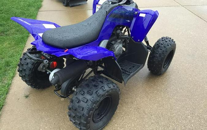 2024 Yamaha Raptor 110