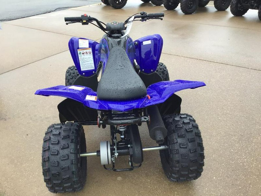 2024 Yamaha Raptor 110