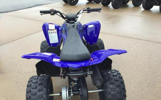 2024 Yamaha Raptor 110