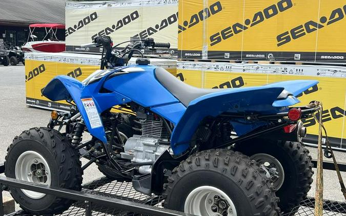 2019 Honda® TRX250X