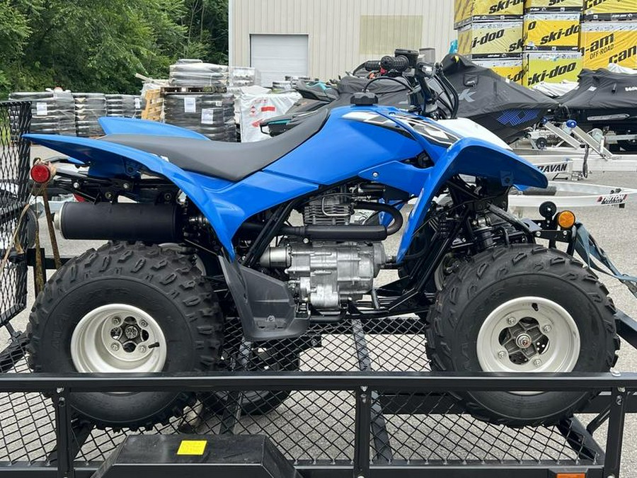 2019 Honda® TRX250X