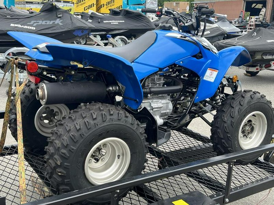 2019 Honda® TRX250X