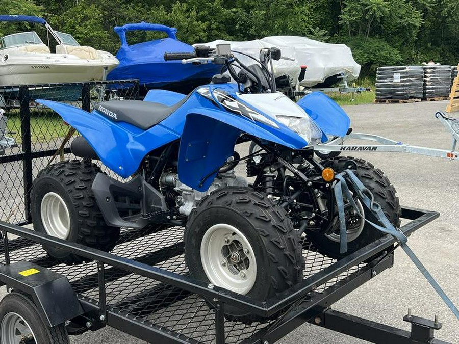 2019 Honda® TRX250X