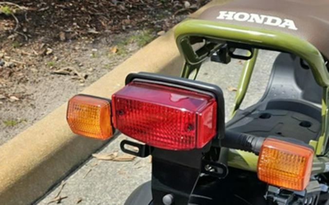 2024 Honda Ruckus