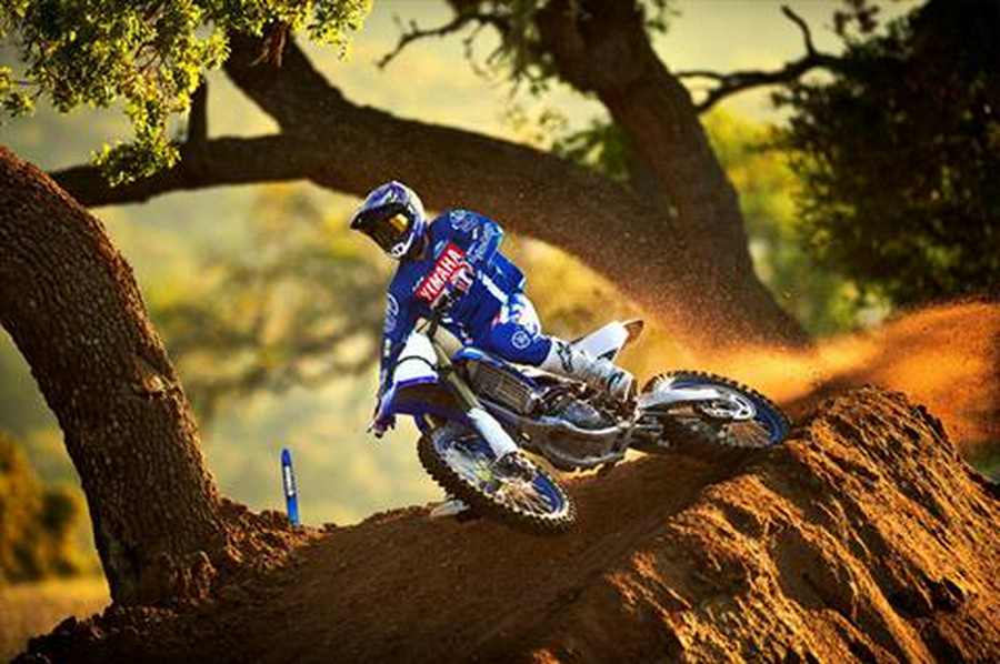 2020 Yamaha YZ250F