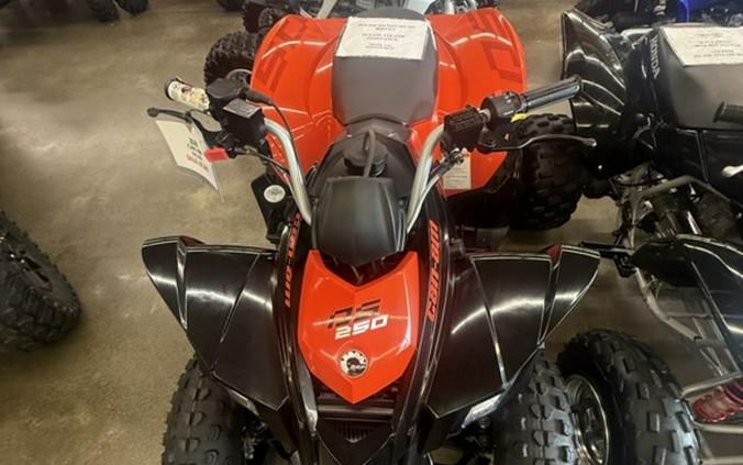 2026 Can-Am® DS 250