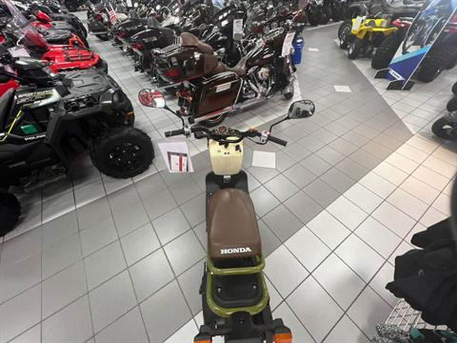 2024 Honda Ruckus