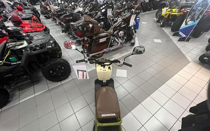 2024 Honda Ruckus