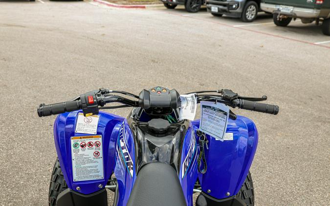 2026 YAMAHA RAPTOR 110
