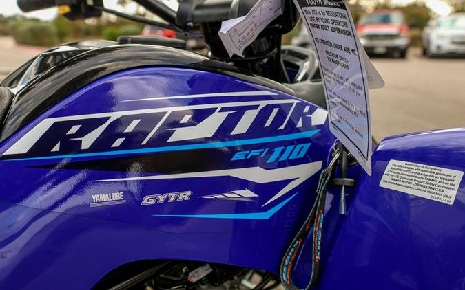2026 YAMAHA RAPTOR 110