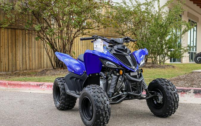 2026 YAMAHA RAPTOR 110