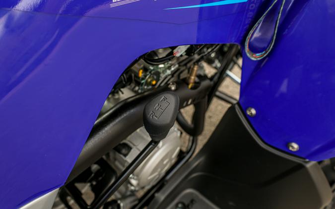 2026 YAMAHA RAPTOR 110