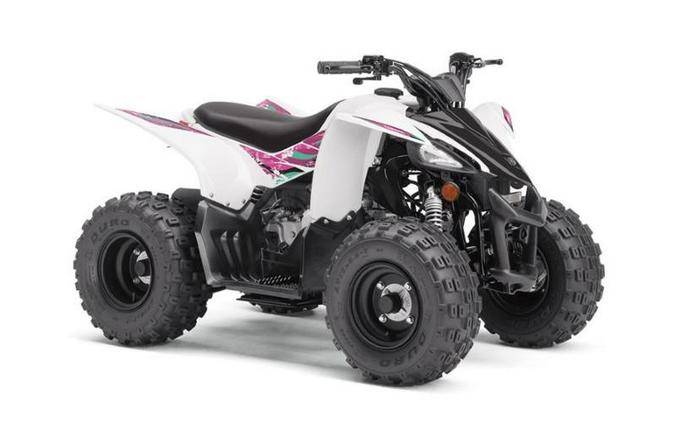 2019 Yamaha YFZ50