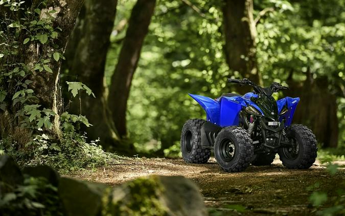 2025 Yamaha YFZ 50