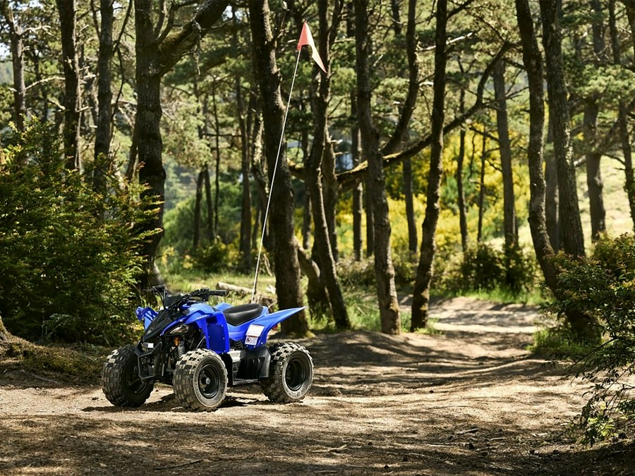 2025 Yamaha YFZ 50