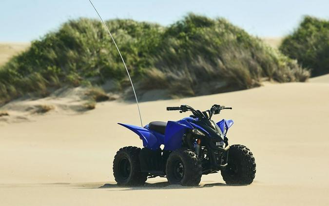 2025 Yamaha YFZ 50